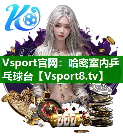 Vsport官网：哈密室内乒乓球台