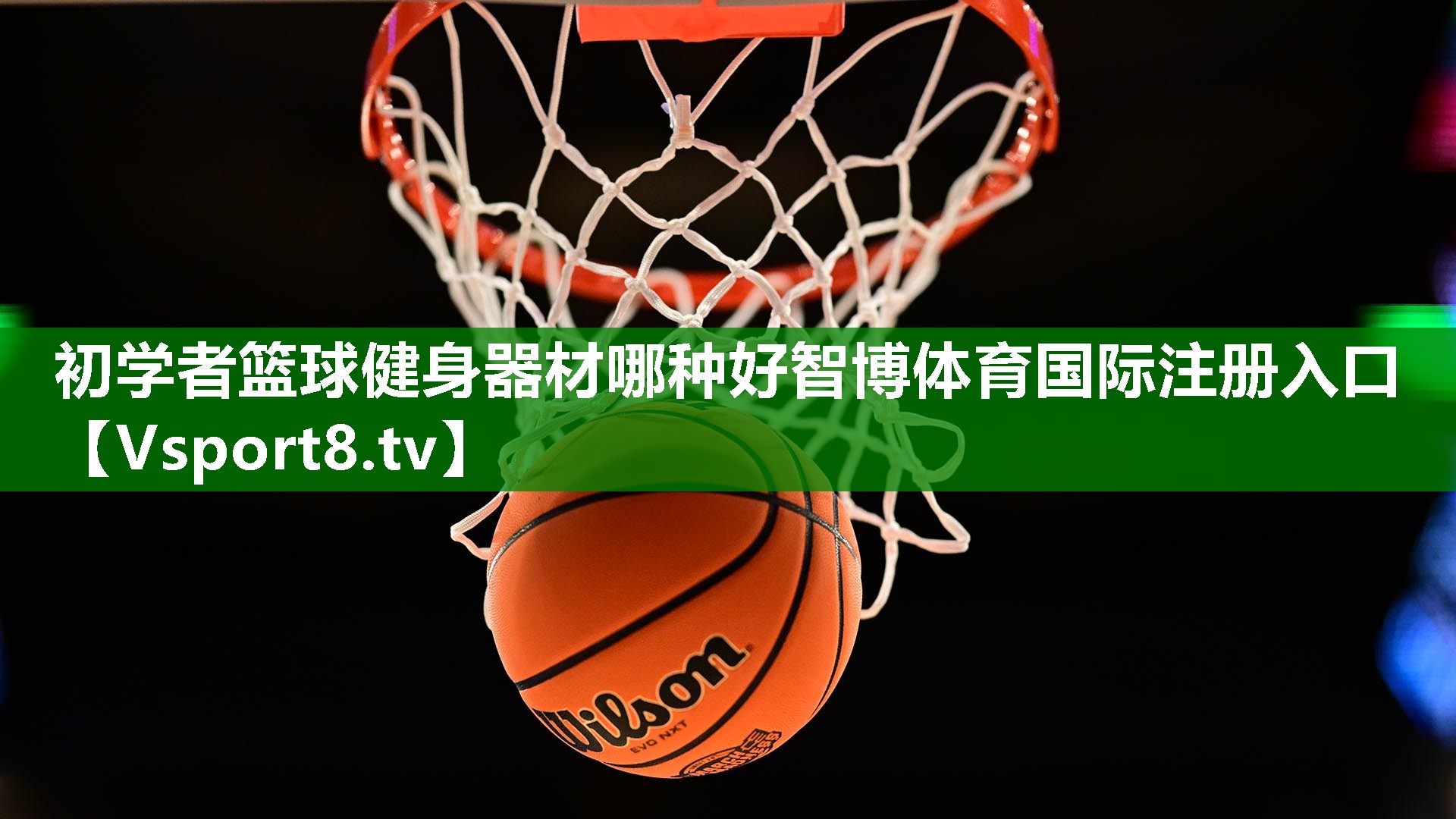 初学者篮球健身器材哪种好智博体育国际注册入口