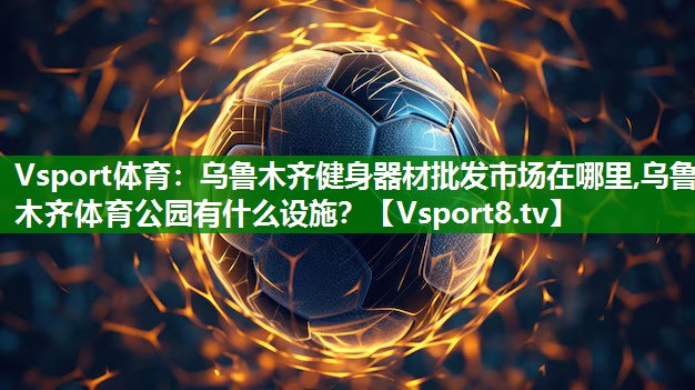 Vsport体育：乌鲁木齐健身器材批发市场在哪里,乌鲁木齐体育公园有什么设施？