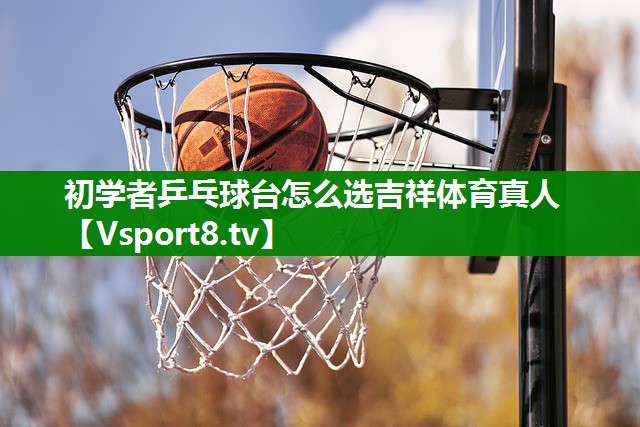 初学者乒乓球台怎么选吉祥体育真人