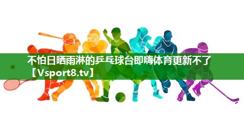 不怕日晒雨淋的乒乓球台即嗨体育更新不了