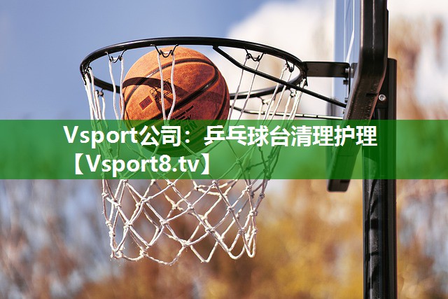 Vsport公司：乒乓球台清理护理