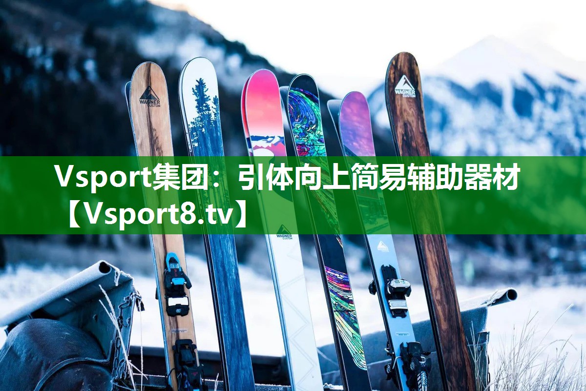 Vsport集团：引体向上简易辅助器材