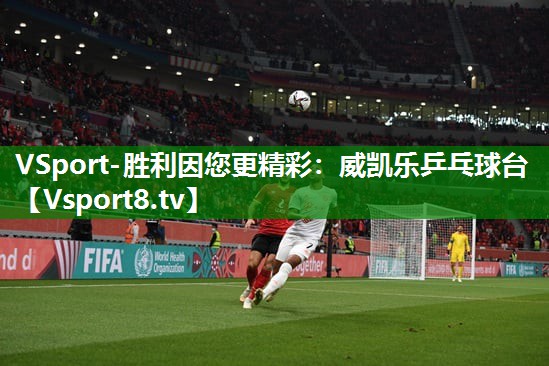 威凯乐乒乓球台