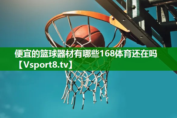 便宜的篮球器材有哪些168体育还在吗