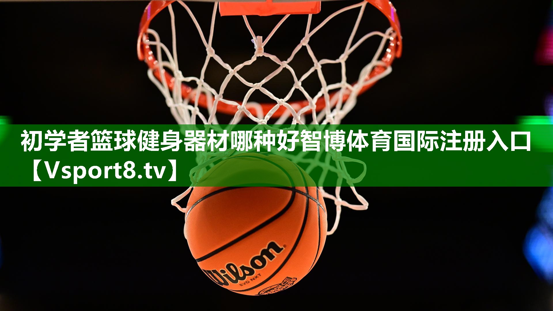 初学者篮球健身器材哪种好智博体育国际注册入口