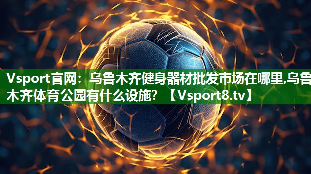 Vsport官网：乌鲁木齐健身器材批发市场在哪里,乌鲁木齐体育公园有什么设施？