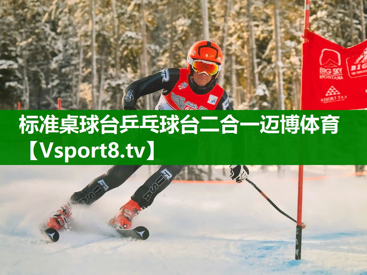 标准桌球台乒乓球台二合一迈博体育