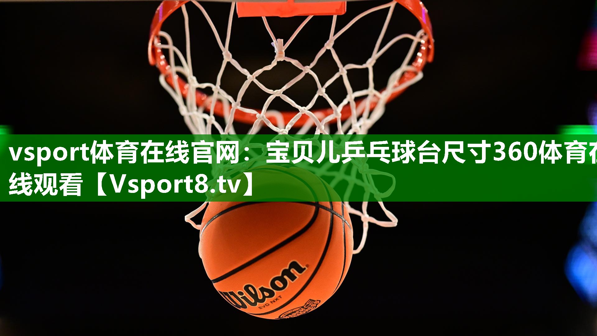 vsport体育在线官网：宝贝儿乒乓球台尺寸360体育在线观看