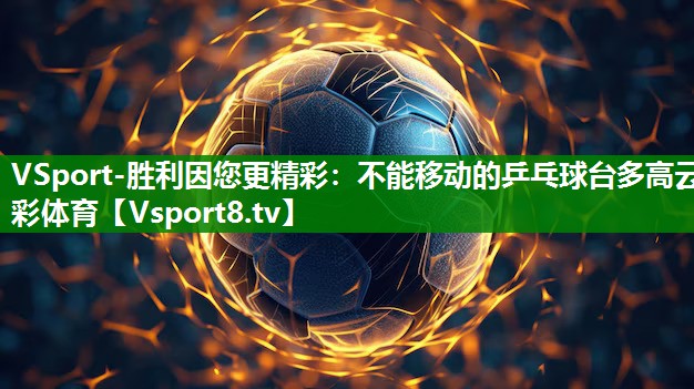 VSport-胜利因您更精彩：不能移动的乒乓球台多高云彩体育