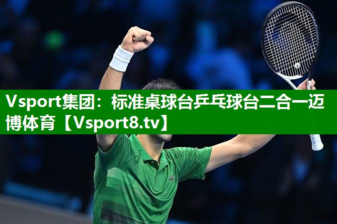 Vsport集团：标准桌球台乒乓球台二合一迈博体育