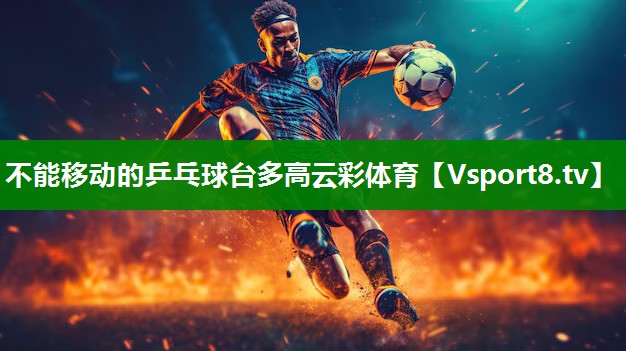不能移动的乒乓球台多高云彩体育