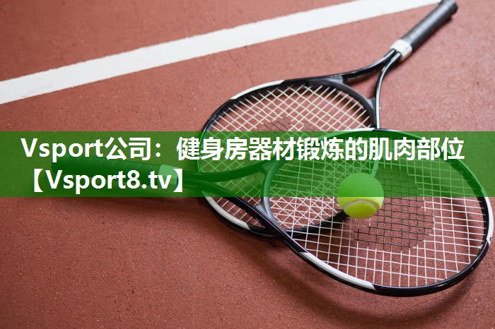 Vsport公司：健身房器材锻炼的肌肉部位