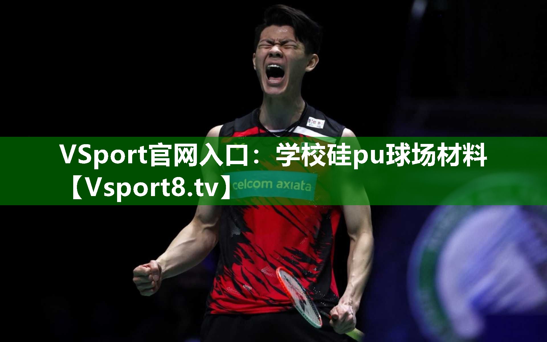VSport官网入口：学校硅pu球场材料