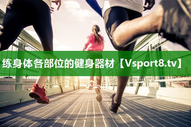 练身体各部位的健身器材