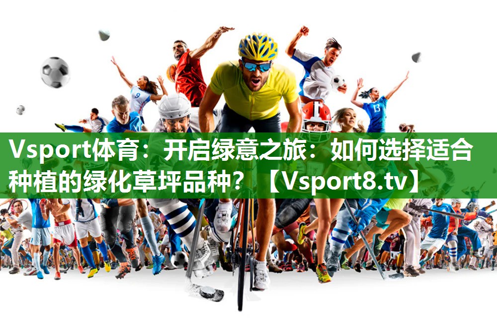 开启绿意之旅：如何选择适合种植的绿化草坪品种？