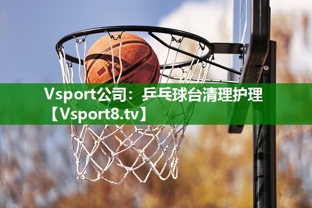 乒乓球台清理护理