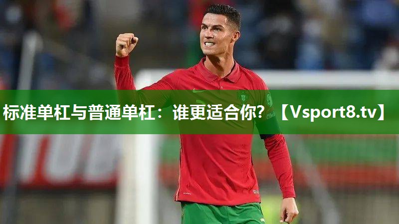 标准单杠与普通单杠：谁更适合你？
